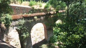 dsc02749