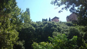 dsc02750