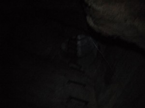 dscf8225